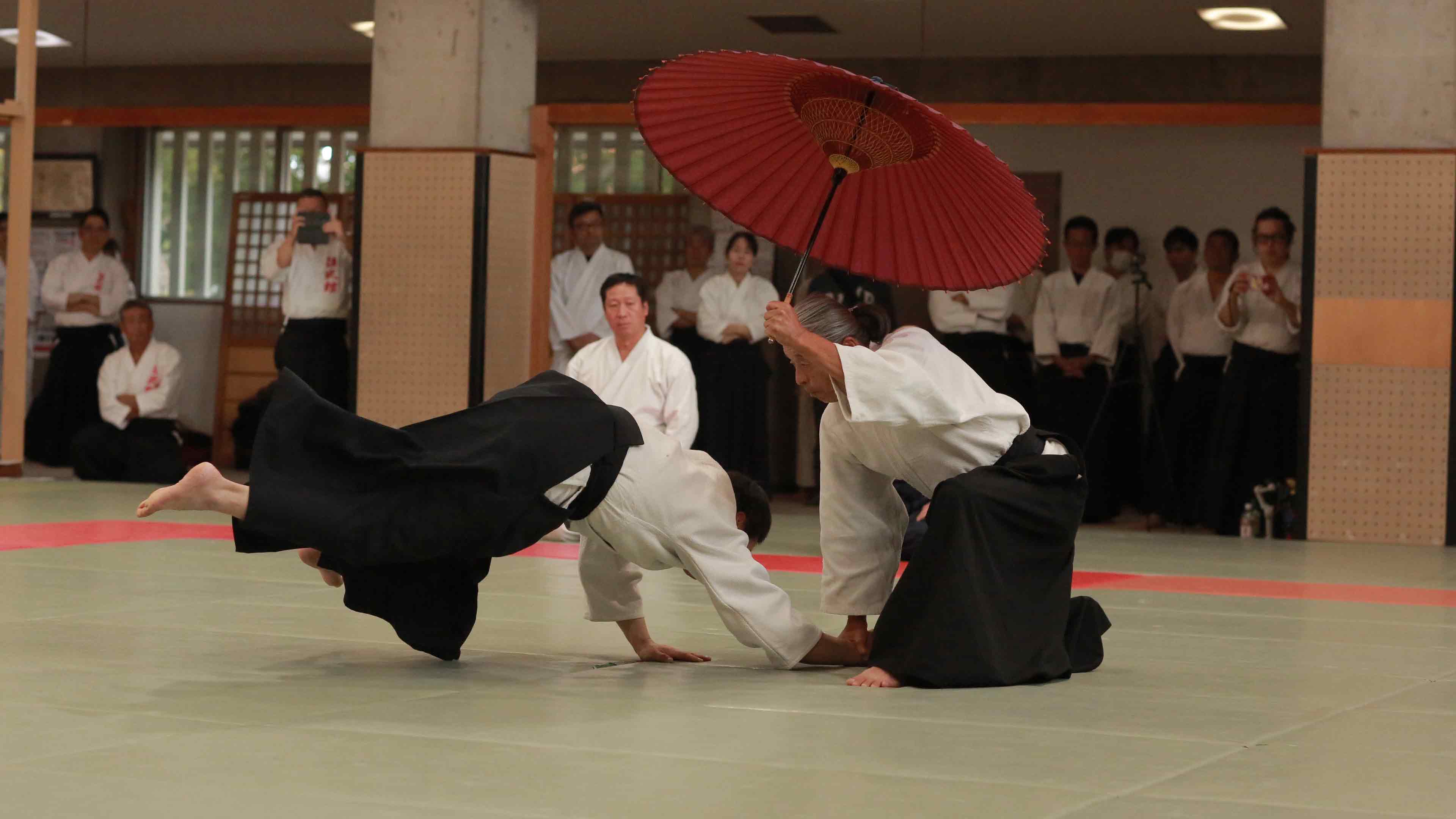 四国大東流合氣柔術武道団体による卓越した合氣技