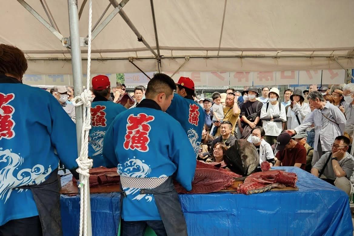 毎年マグロのシーズンには、大勢の方々が境港を訪れ、新鮮な生のマグロ（冷凍ではないもの）を楽しんでおります