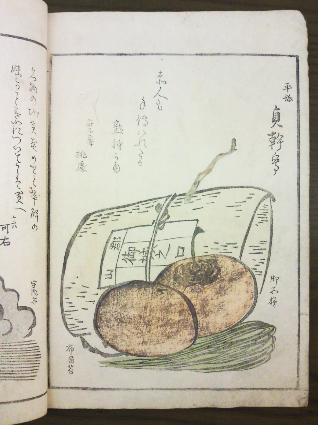 豊臣秀吉公から、鶯餅の名前を授かったともいわれている奈良の名菓「御城之口餅」
