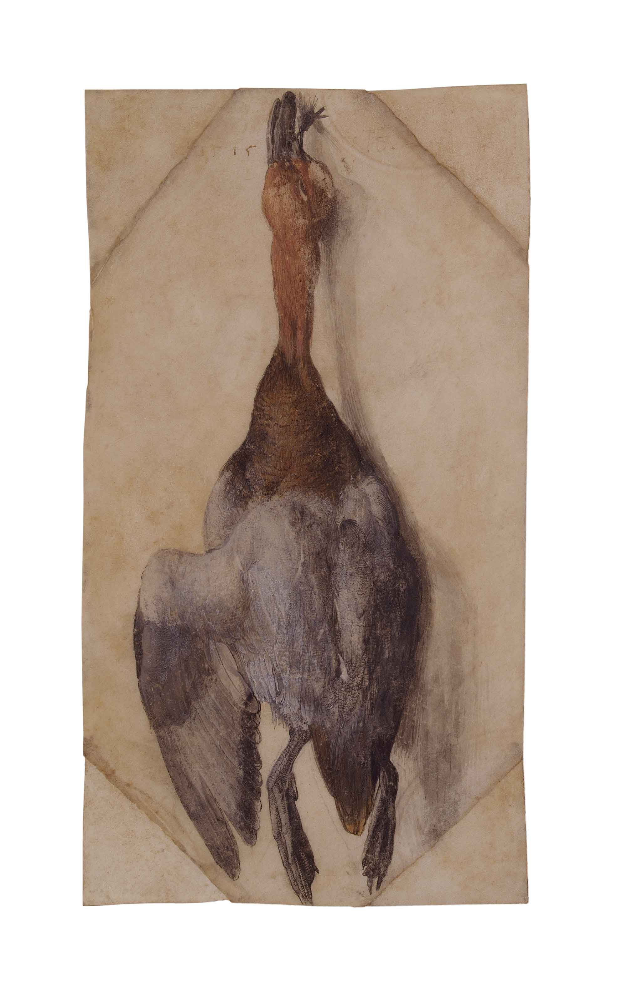 Albrecht Dürer (1471-1528) Dead Duck / Germany, c. 1502 (?) or c. 1512 (?) /