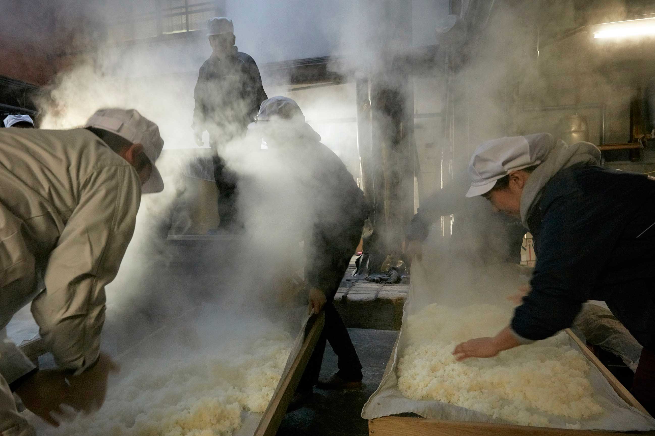 機械に頼らず手で返して冷ます米麹の製作工程