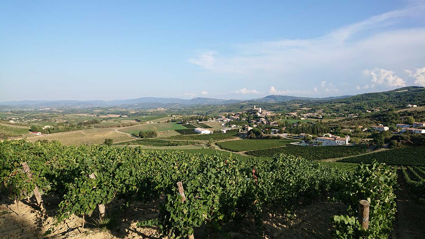 リムー產地は最古のスパークリングワインの醸造法に加え現代化された有機ブドウ園もあります。